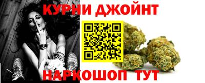 сатива Кинель