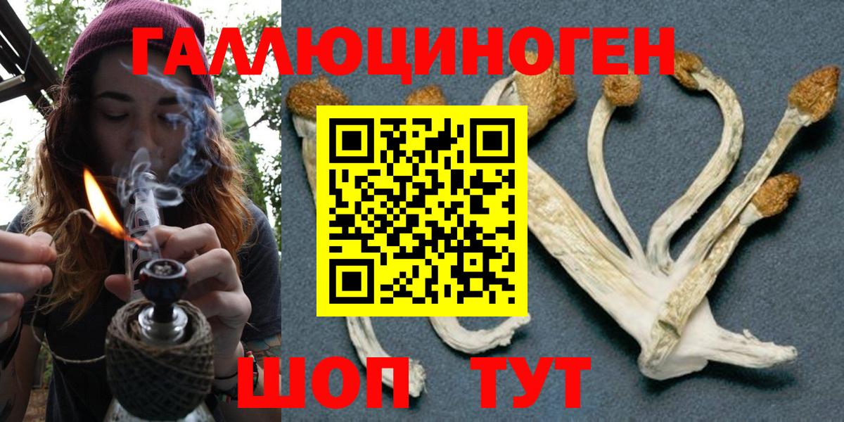 Кропоткин  Галлюциногенные грибы прущие грибы  Вход с VPN 